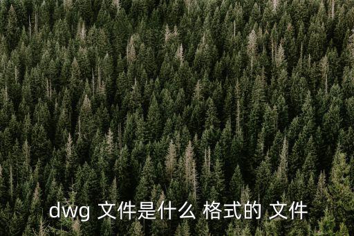  dwg 文件是什么 格式的 文件