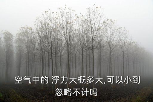  空氣中的 浮力大概多大,可以小到忽略不計嗎