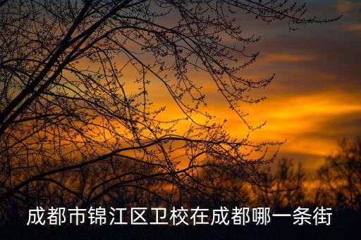 四川省成都市錦江區(qū)衛(wèi)校，錦江區(qū)四川人民衛(wèi)校在哪里