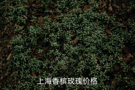 上海市首飾電鍍香檳金報價，上海香檳玫瑰價格