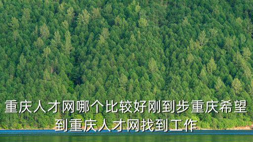 重慶人才網哪個比較好剛到步重慶希望到重慶人才網找到工作