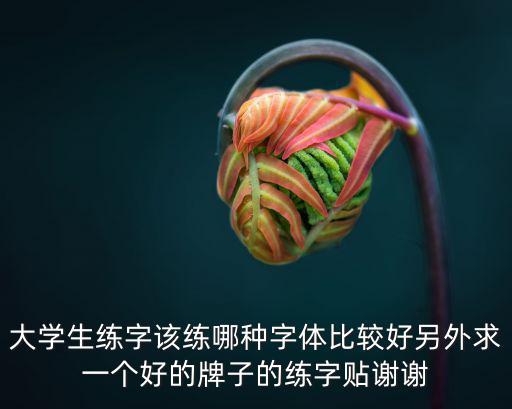 大學生練字該練哪種字體比較好另外求一個好的牌子的練字貼謝謝