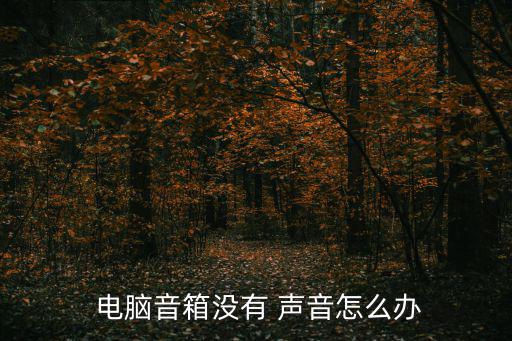  電腦音箱沒有 聲音怎么辦