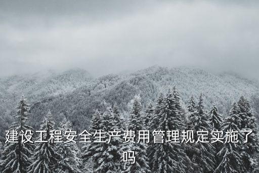 建設(shè)工程安全生產(chǎn)費用管理規(guī)定實施了嗎