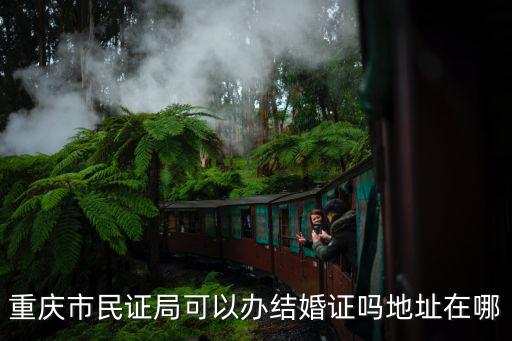 重慶市民證局可以辦結婚證嗎地址在哪