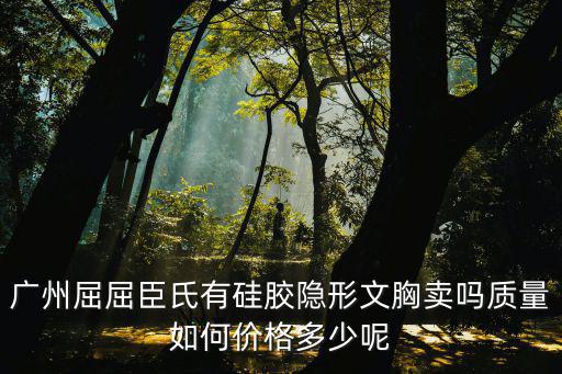 廣州無打底透明內衣，廣州有那些內衣品牌比較好誰可以推薦