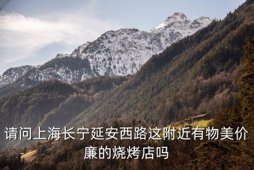 請問上海長寧延安西路這附近有物美價廉的燒烤店嗎