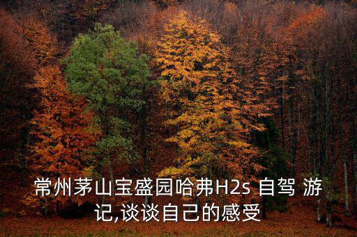 常州茅山寶盛園哈弗H2s 自駕 游記,談談自己的感受