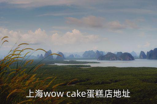 上海wow cake蛋糕店地址