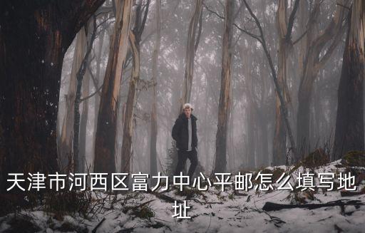 天津市河西區富力中心平郵怎么填寫地址