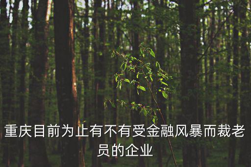 重慶目前為止有不有受金融風(fēng)暴而裁老員的企業(yè)