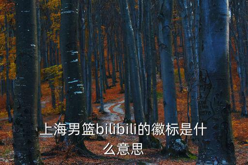 上海市藍球協會，上海男籃bilibili的徽標是什么意思