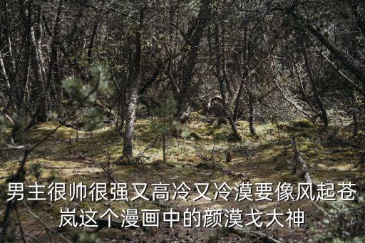 男主很帥很強(qiáng)又高冷又冷漠要像風(fēng)起蒼嵐這個(gè)漫畫中的顏漠戈大神