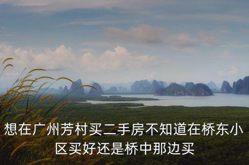 在廣州芳村買房合適嗎，想在廣州芳村買二手房不知道在橋東小區買好還是橋中那邊買