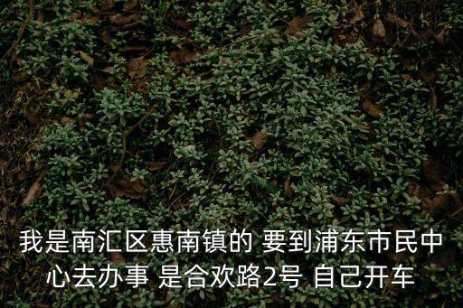 我是南匯區惠南鎮的 要到浦東市民中心去辦事 是合歡路2號 自己開車