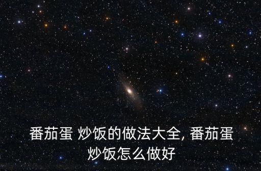  番茄蛋 炒飯的做法大全, 番茄蛋 炒飯怎么做好