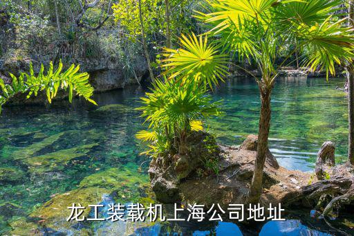 上海市微挖鏟車自卸三輪車租賃，上海開叉車多少錢一個月