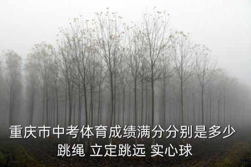 重慶市體育類綜合分，重慶2013年體育綜合分207在重慶排名第幾