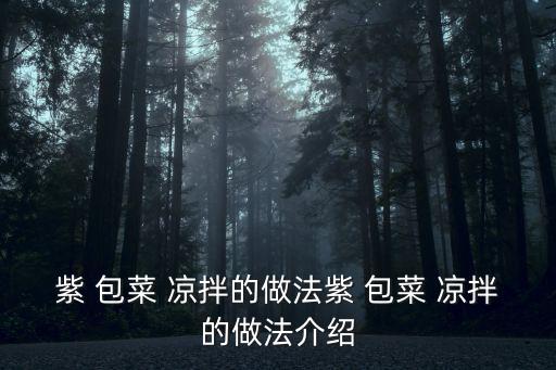紫 包菜 涼拌的做法紫 包菜 涼拌的做法介紹
