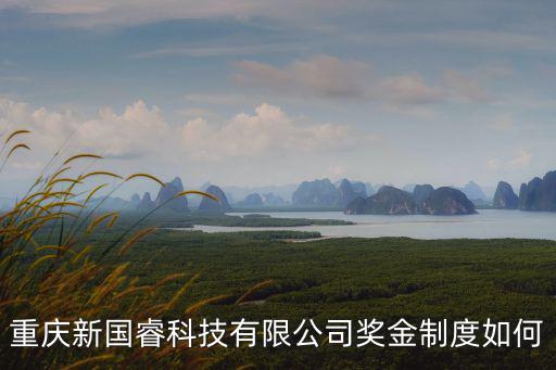 重慶新國睿科技有限公司獎金制度如何
