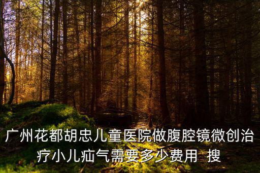 廣州花都胡忠兒童醫(yī)院做腹腔鏡微創(chuàng)治療小兒疝氣需要多少費用  搜