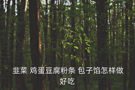  韭菜 雞蛋豆腐粉條 包子餡怎樣做好吃