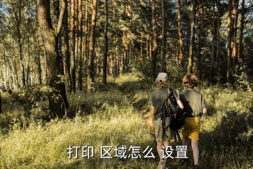  打印 區域怎么 設置