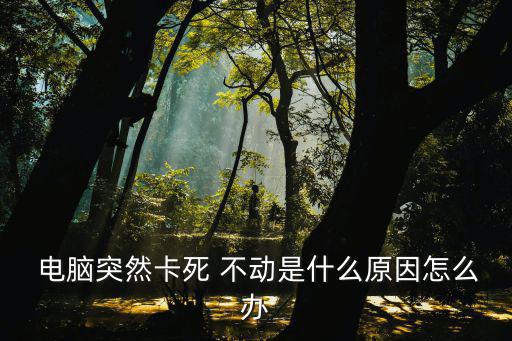 電腦突然死機卡住不動,電腦出現死機問題四大原因引發