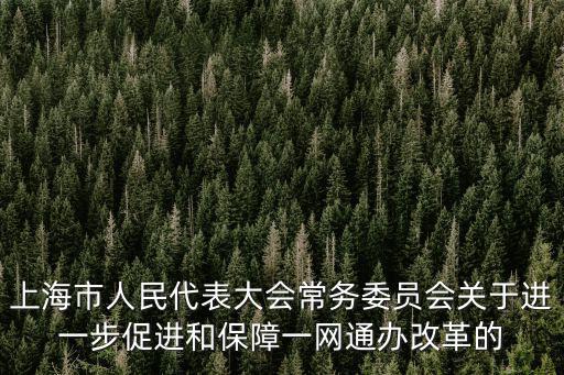 上海市人民代表大會常務委員會關于進一步促進和保障一網通辦改革的