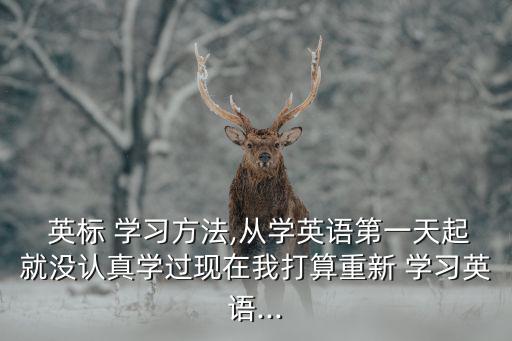 英標(biāo)學(xué)習(xí),學(xué)好音標(biāo)對(duì)后期聽說和背單詞有很大作用