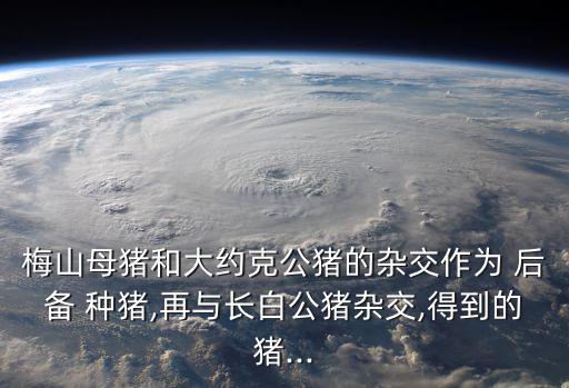 梅山母豬和大約克公豬的雜交作為 后備 種豬,再與長白公豬雜交,得到的豬...