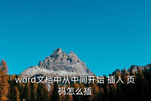 怎么插入頁碼,如何從文檔中插入頁碼?