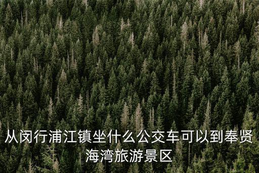 從閔行浦江鎮坐什么公交車可以到奉賢海灣旅游景區