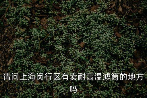 請問上海閔行區有賣耐高溫濾筒的地方嗎