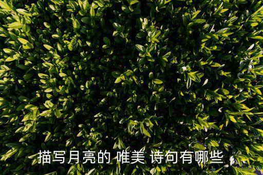 描寫月亮的 唯美 詩句有哪些