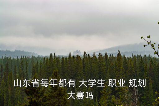 山東省每年都有 大學生 職業 規劃 大賽嗎