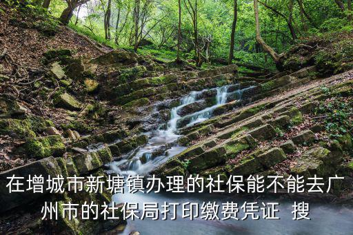 在增城市新塘鎮(zhèn)辦理的社保能不能去廣州市的社保局打印繳費(fèi)憑證  搜