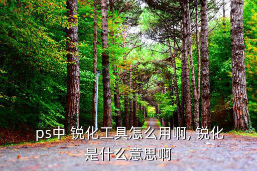  ps中 銳化工具怎么用啊, 銳化是什么意思啊