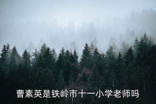 曹素英是鐵嶺市十一小學老師嗎