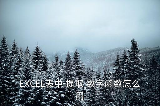 EXCEL表中 提取 數字函數怎么用