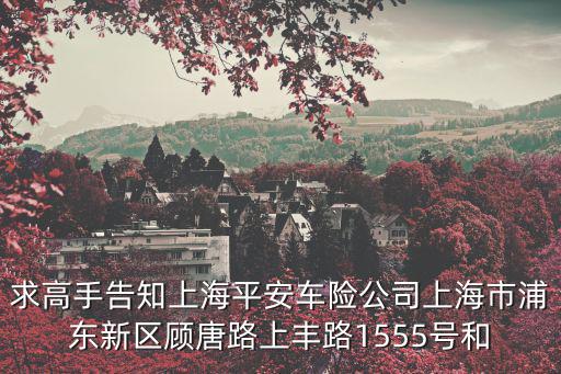 求高手告知上海平安車險公司上海市浦東新區顧唐路上豐路1555號和