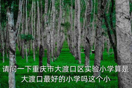 請問一下重慶市大渡口區(qū)實(shí)驗(yàn)小學(xué)算是大渡口最好的小學(xué)嗎這個(gè)小