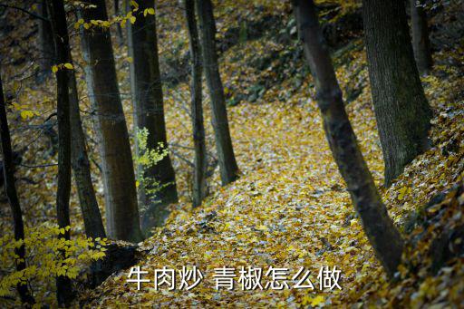 青椒牛肉怎么炒,泡椒牛肉快炒1分鐘變色即可出鍋