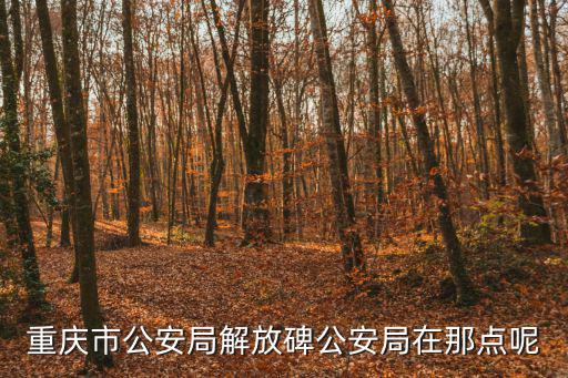 重慶市公安局解放碑公安局在那點(diǎn)呢