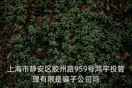 上海市靜安區(qū)膠州路959號(hào)鴻宇投管理有限是騙子公司嗎