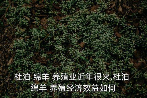 綿羊養(yǎng)殖,我國引進第二個專業(yè)化肉羊品種綿羊比山羊更合群