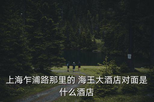 上海乍浦路那里的 海王大酒店對(duì)面是什么酒店