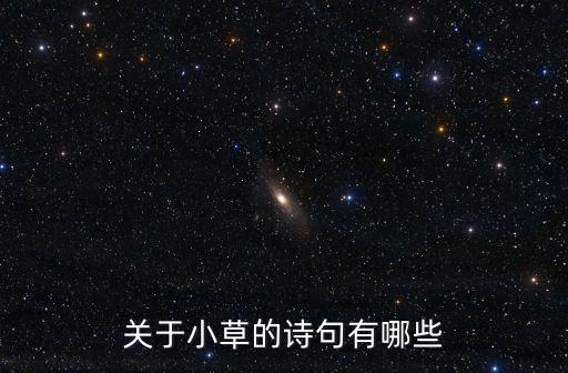 關(guān)于小草的詩(shī)句有哪些