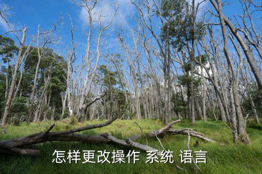 系統語言,如何安裝語言package?