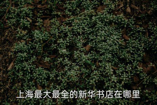 上海最大最全的新華書店在哪里